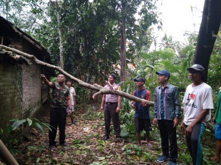 Pohon Tumbang Menimpa  Rumah Warga Di desa Tirtomulyo