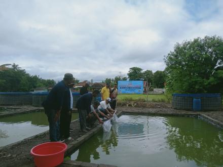 DKP Bantul Tebar Benih Ikan Gurami di Kelompok Budidaya Perikanan Mina Karya Tuwanggana Tirtomulyo