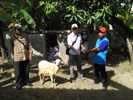 Penyerahan bantuan Kambing kelompok ternak Dusun G